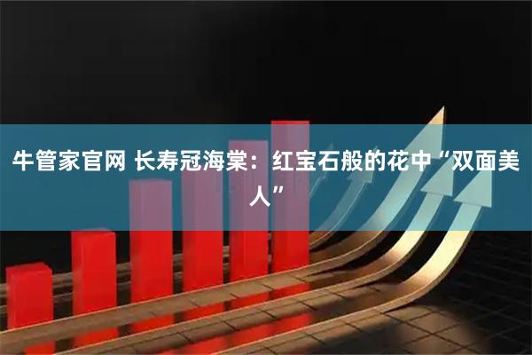 牛管家官网 长寿冠海棠：红宝石般的花中“双面美人”