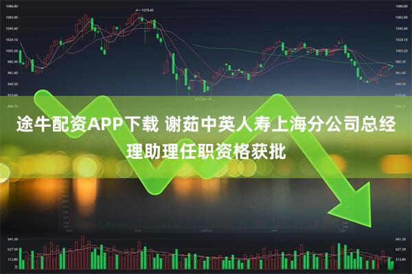 途牛配资APP下载 谢茹中英人寿上海分公司总经理助理任职资格获批