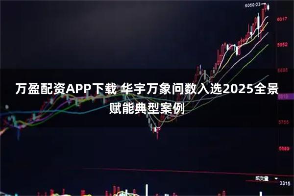 万盈配资APP下载 华宇万象问数入选2025全景赋能典型案例