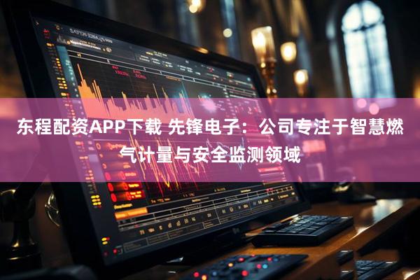 东程配资APP下载 先锋电子：公司专注于智慧燃气计量与安全监测领域