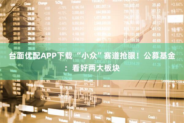 台面优配APP下载 “小众”赛道抢眼！公募基金：看好两大板块